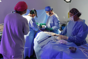 Cirurgia plástica no Brasil